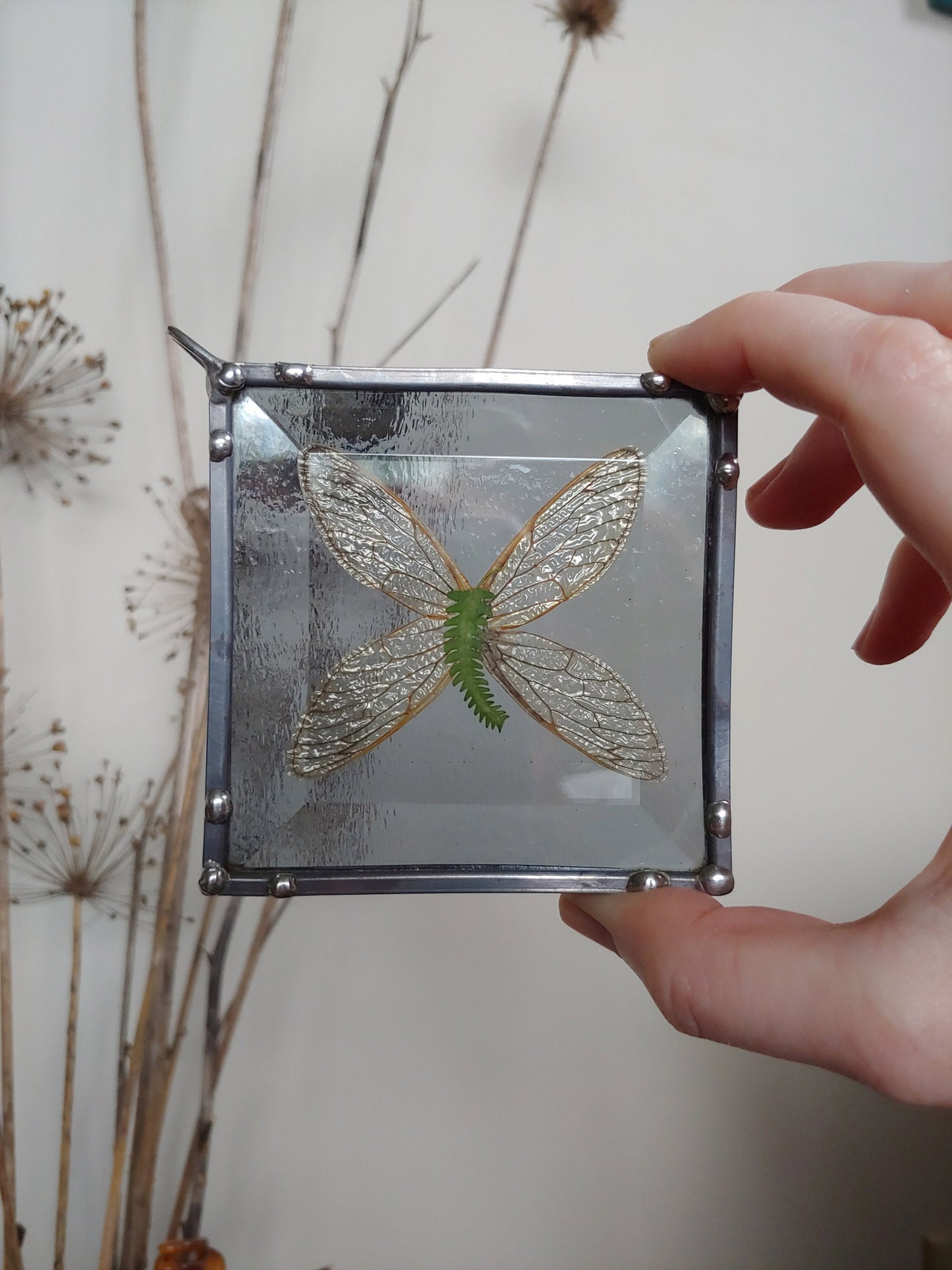 Cicada Wings Stained Glass Sun Catcher (Ready to Ship)