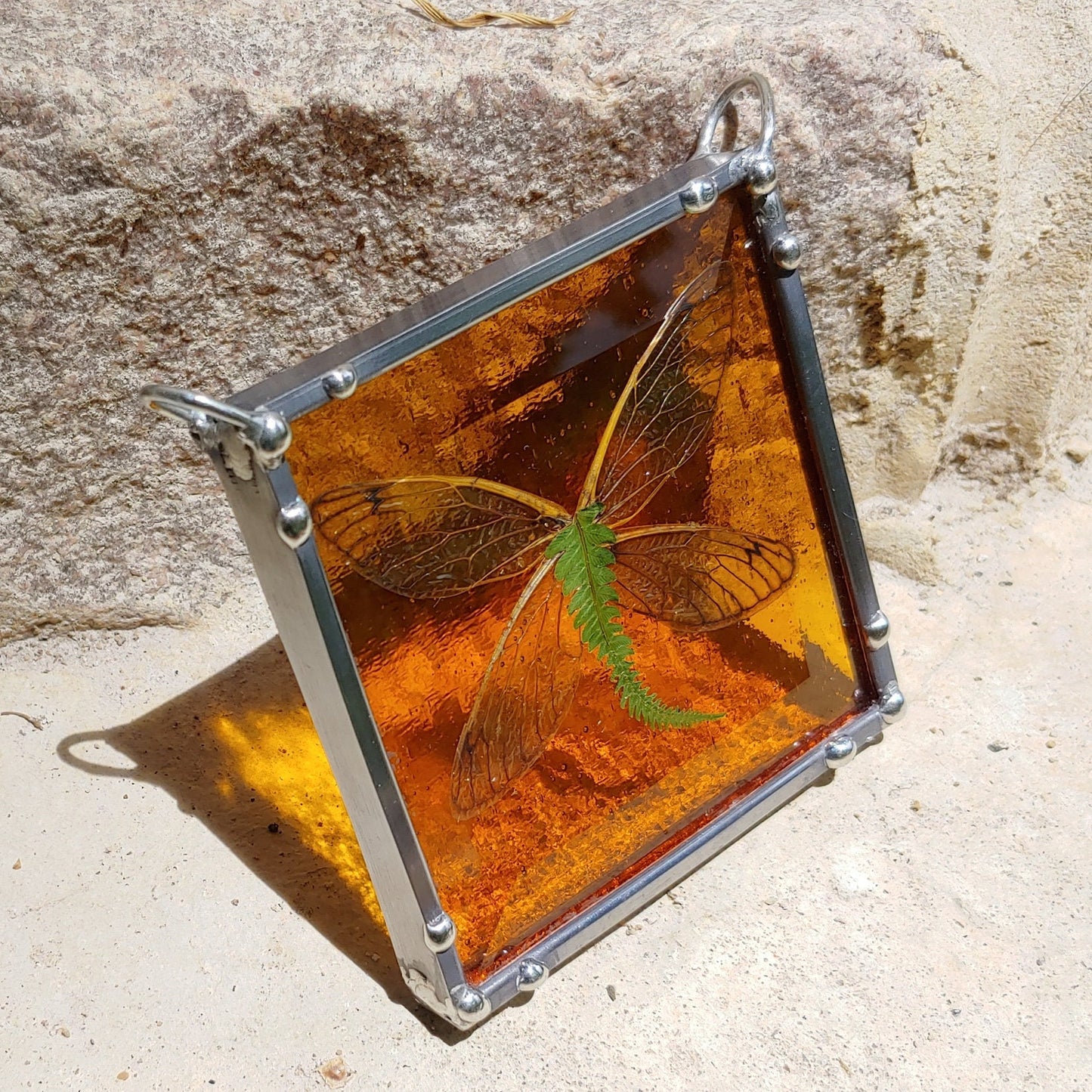 Cicada Wings Stained Glass Sun Catcher (Ready to Ship)