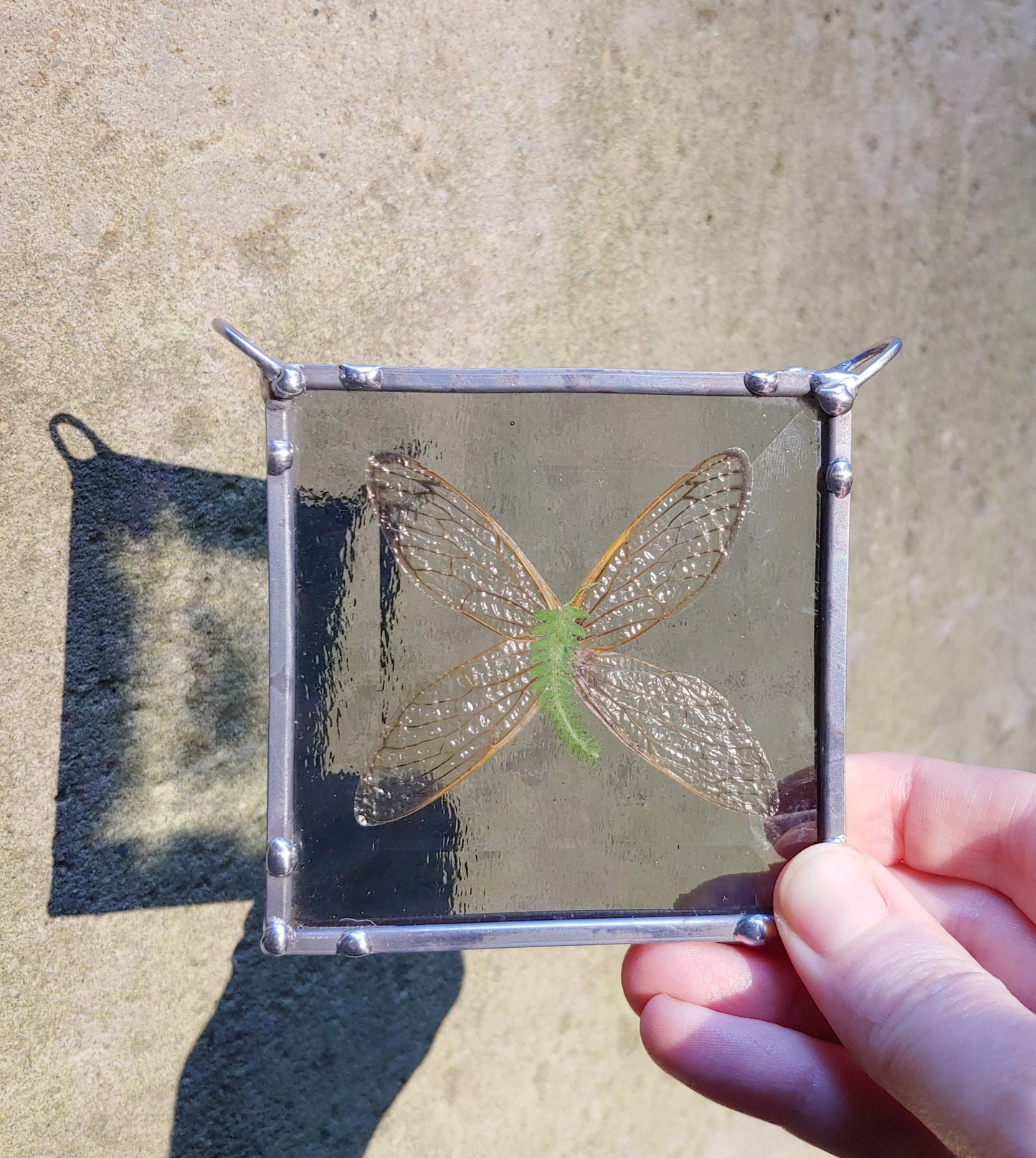 Cicada Wings Stained Glass Sun Catcher (Ready to Ship)