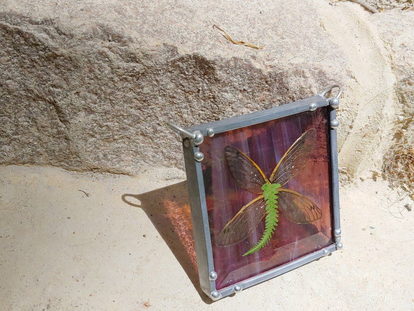 Cicada Wings Stained Glass Sun Catcher (Ready to Ship)