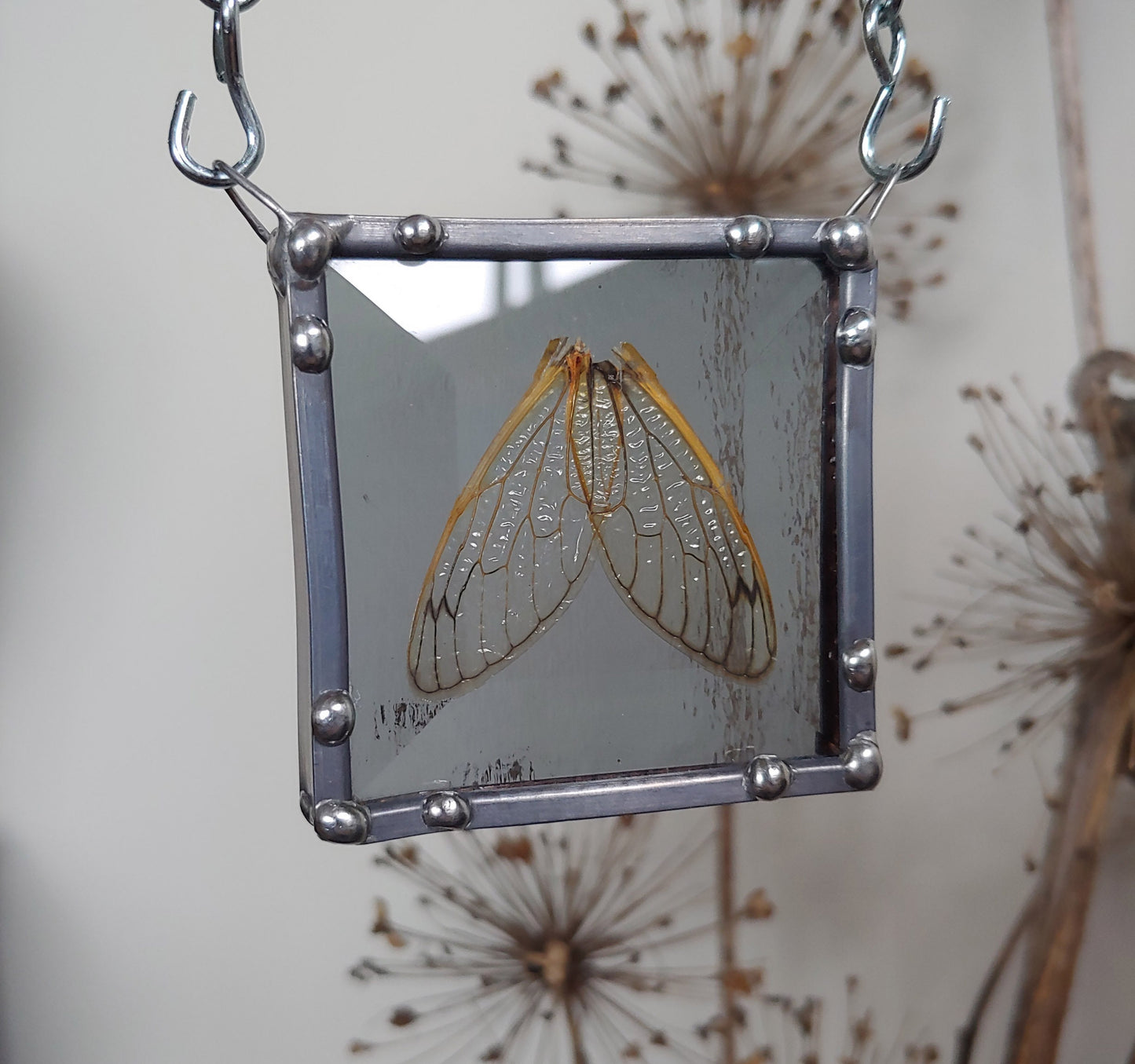 Cicada Wings Sun Catcher (Ready to Ship)