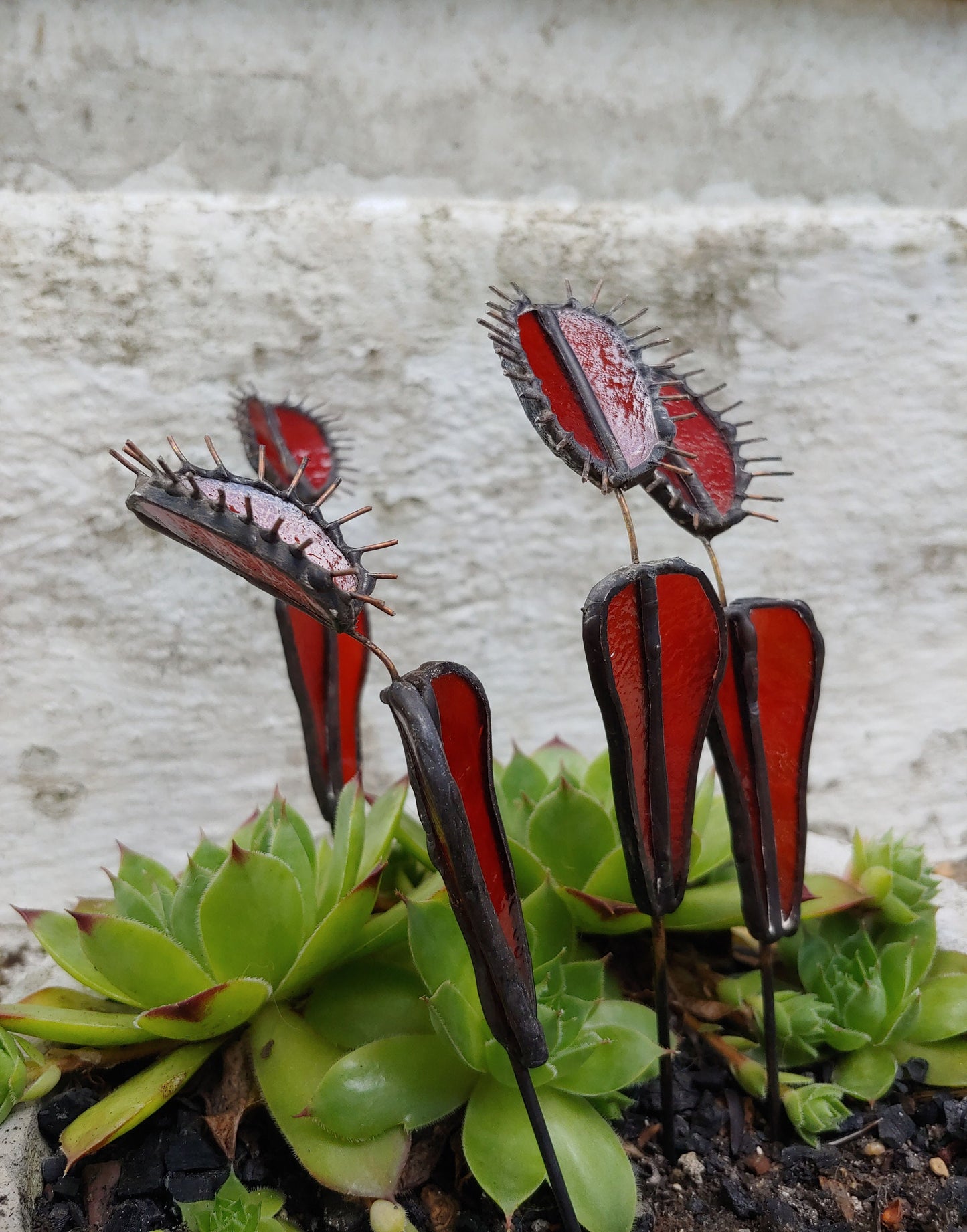 Venus Fly Trap Plant Stake (Made to Order)