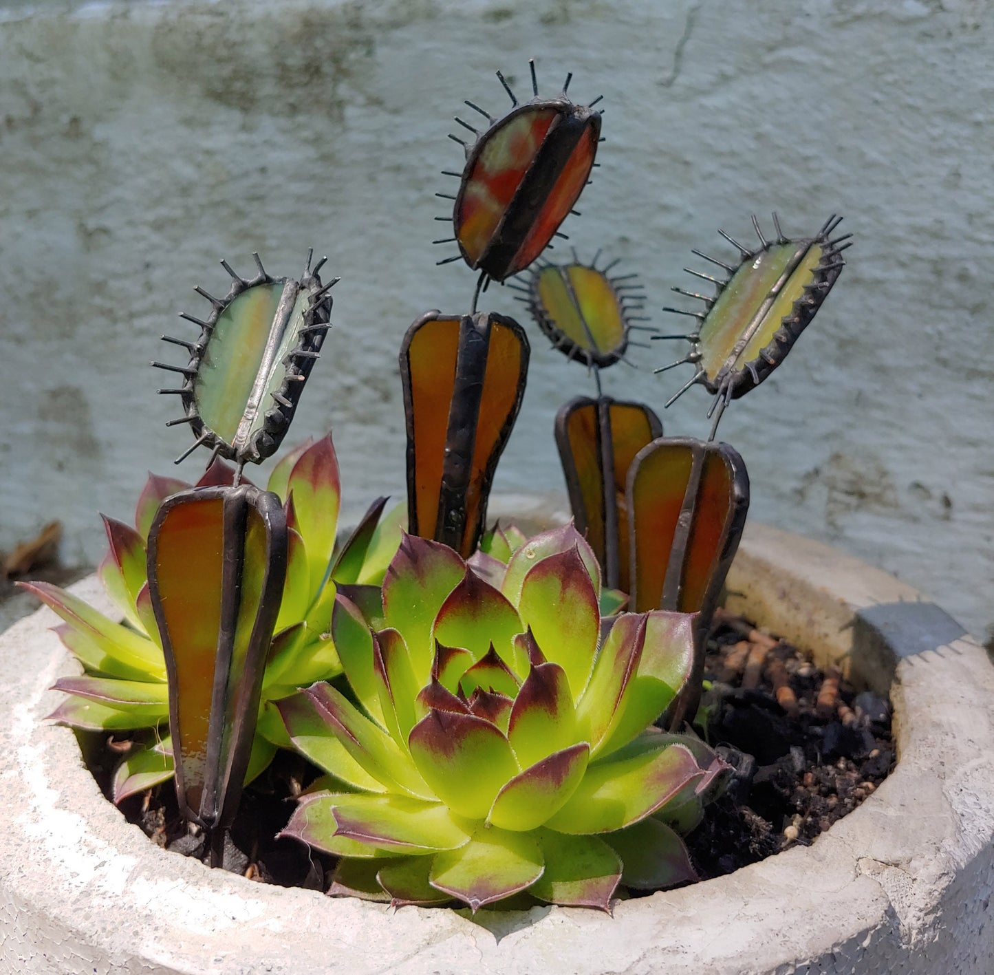 Venus Fly Trap Plant Stake (Made to Order)