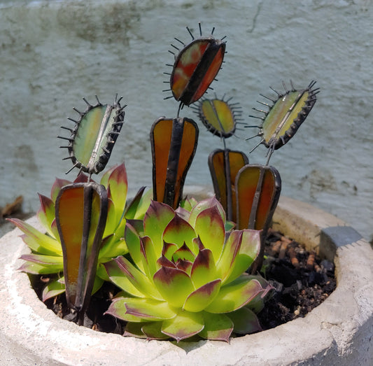 Venus Fly Trap Plant Stake (Made to Order)